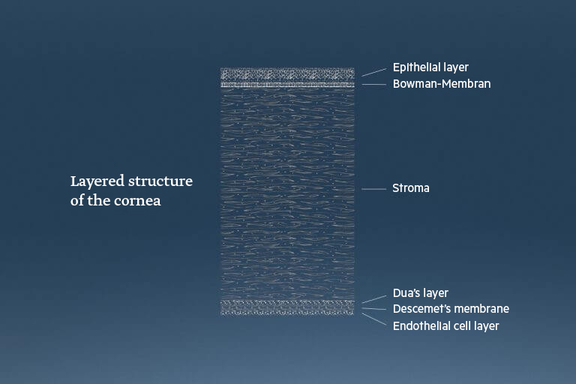 Schichtaufbau Cornea, Augenärzte Linz, Dirisamer Luft Priglinger